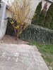 Dukkon Tamás Szabó Lőrinc Tavasz