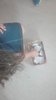 Guess who1
