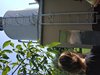 IMG_20190703_090828