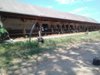 Lenovo_A1000_IMG_20190702_151032