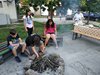 IMG_20190704_193353