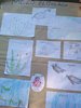 IMG_20190627_165346