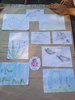 IMG_20190627_165336